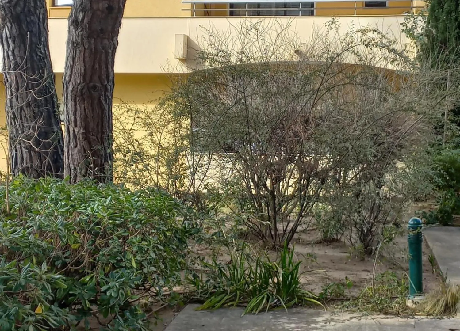 Frejus Plage, Appartement entier , piscine,parking,plage à 200m France